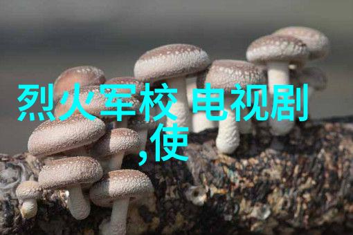 毕福剑自杀事件背后的社会心理学探究对媒体报道与公众反应的分析