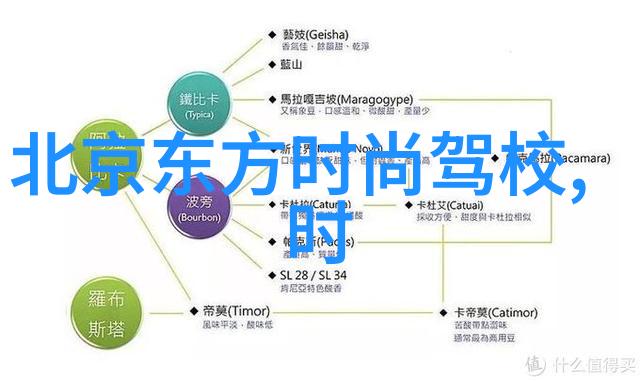 城管大楼晚上亮灯被指似娱乐场所-夜幕下的争议城管大楼的照明引发的误解与讨论