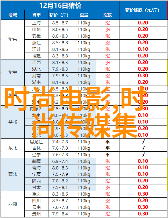 命运密码揭秘名字背后的八字秘密