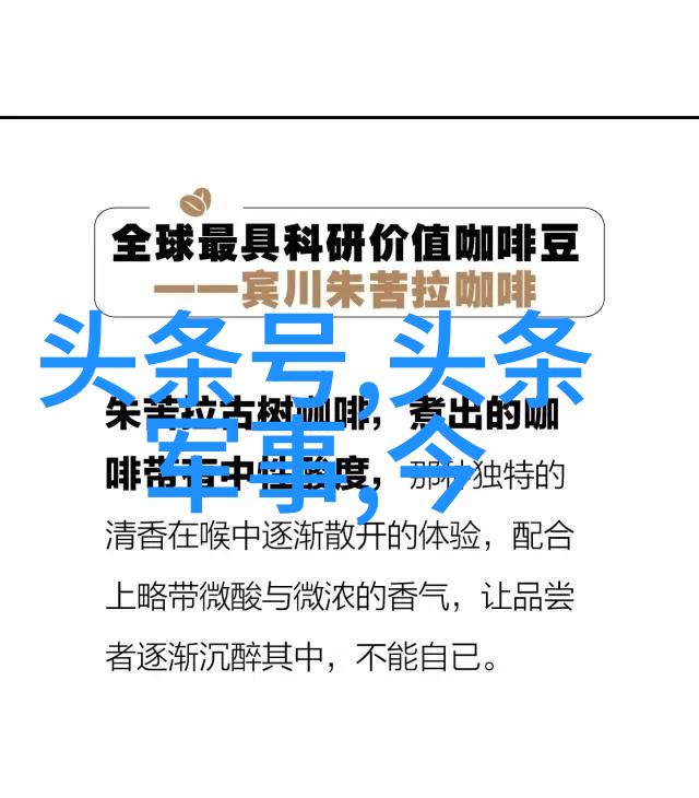 网红模样的秘密一览那些让人爱不释手的特质