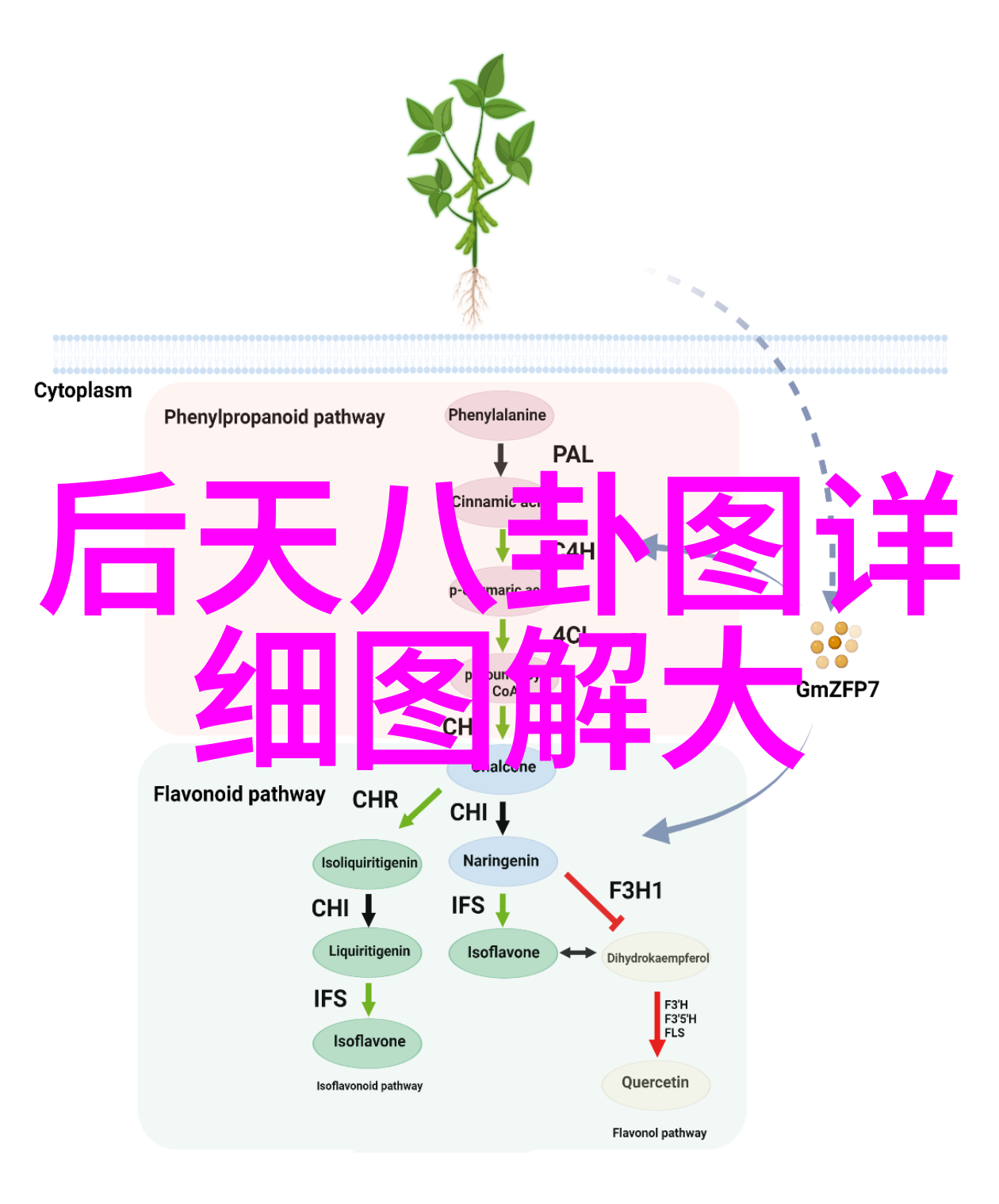 娱乐-燃烧的舞台揭秘热门综艺背后的制作人