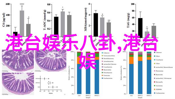 从镜头到画布张筱雨写真展开幕