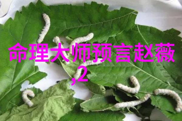 如梦之梦深圳站演出延期欢迎光临电视剧细节将在8月31日前反复公布