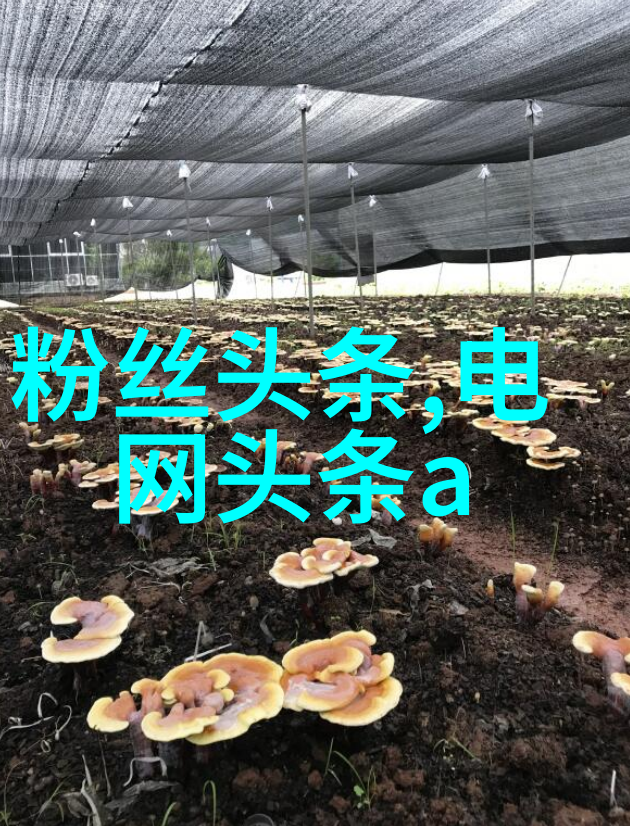 天生贵气与后天功夫揭秘先天八卦图与后天八卦图的神秘差异