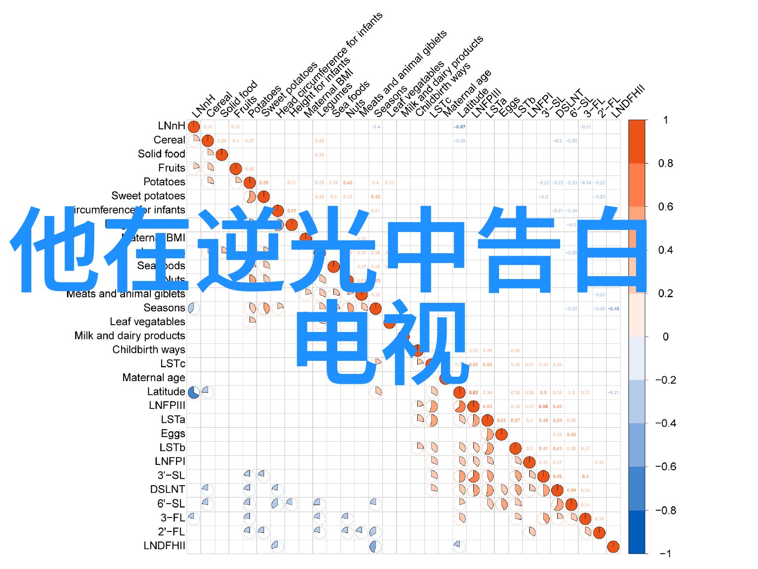 揭秘中国最准的免费八字算命网神奇预测引人入胜