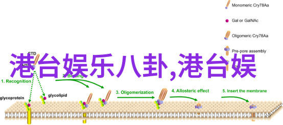 天空影院手机免费观看我是怎么在手机上无限畅享好片的