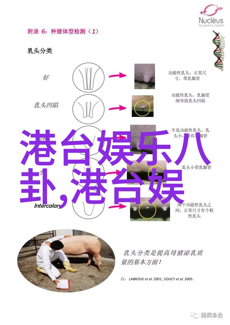 小苹果影视红途璀璨梦幕绽放