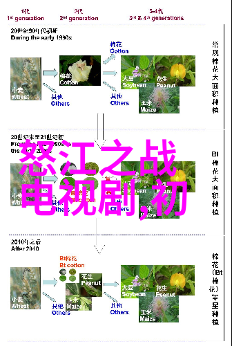 台湾国籍填写之争身份认同与政治立场的复杂交织