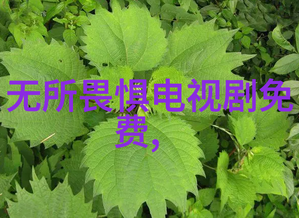 天启影视明星大侦探第七季反复寻找撒贝宁的踪迹揭秘嘉宾名单