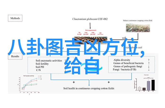 无限娱乐我要带你飞跃时空的乐趣之旅