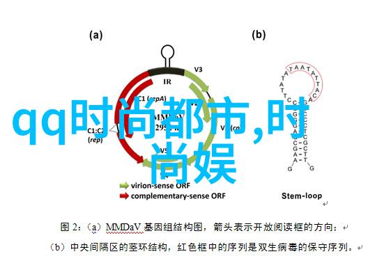 超级大陆梦幻航线