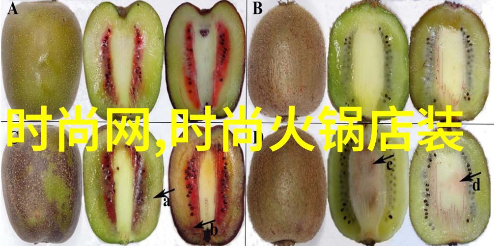 学爸一部温馨家庭教育电影的故事