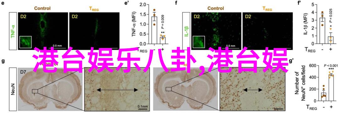 许志安施展浑身任搂任亲 与苏永康搞气氛哄歌迷