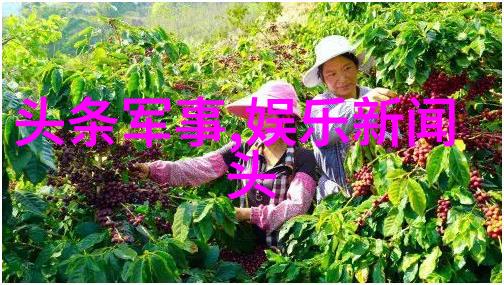 栀花绽放时光倒影2017年电视剧中的经典瞬间