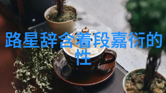 星际时光织梦12星座的时间诗篇