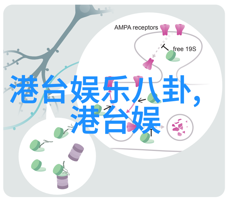 江苏综艺频道-探索江苏综艺频道幕后故事与精彩节目