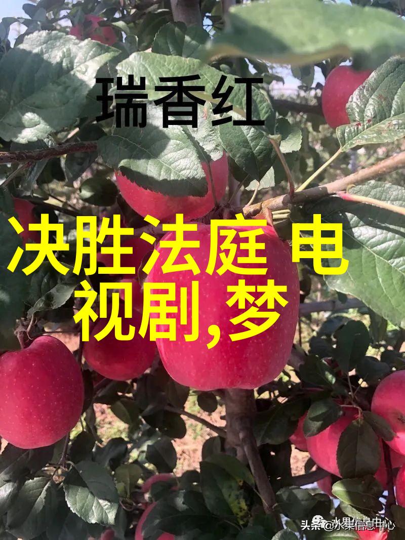 新闻头条 今天 - 独家报道全球首例量子计算机成功破解加密信息