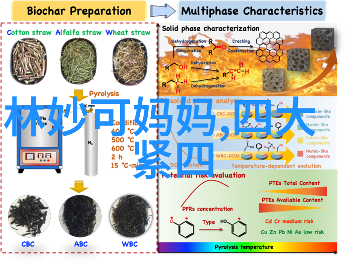 拍拍视频探索生活美学的艺术之旅