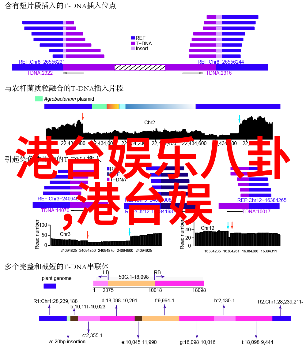 农民影视我和我的田地农村故事的银幕之旅