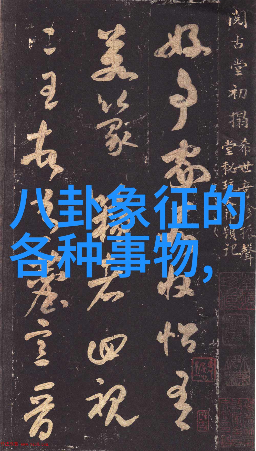 日本成人综艺我在日系娱乐圈的荒诞冒险从笑料中寻找真实