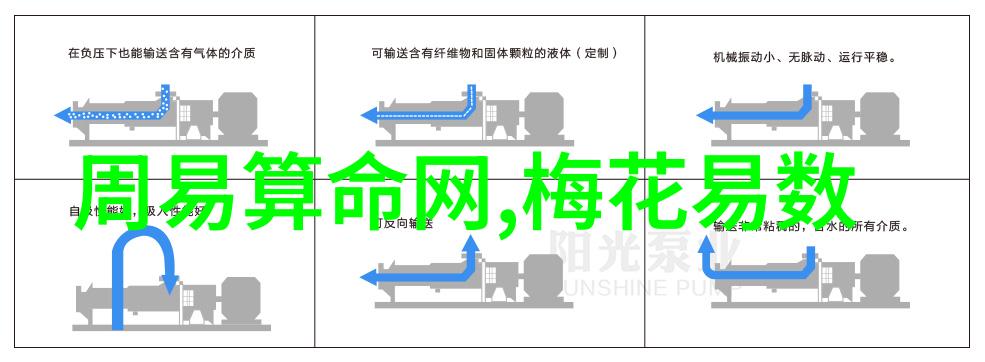 独特的声音独一无二的情感表达专注于新兴女艺人的作品分析