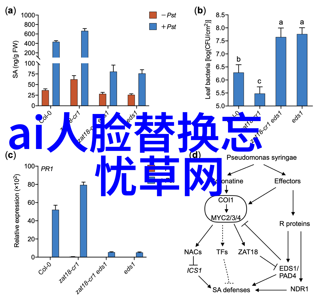 农民影视超级飞侠大电影将于7月8日定档为孩子们带来首份暑假的礼物送上一份不容错过的惊喜