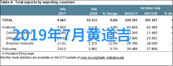 月华影映银河下的电影诗篇