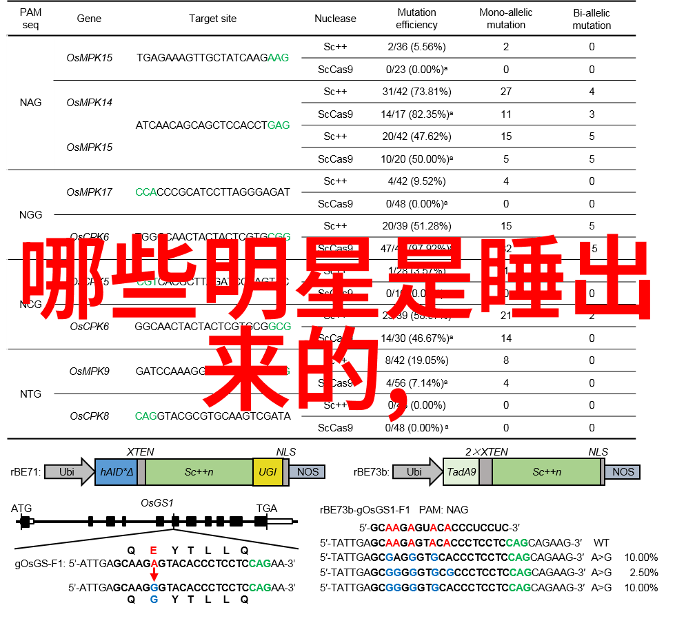 科技与传统相结合bear witness到伴你心灵旅程