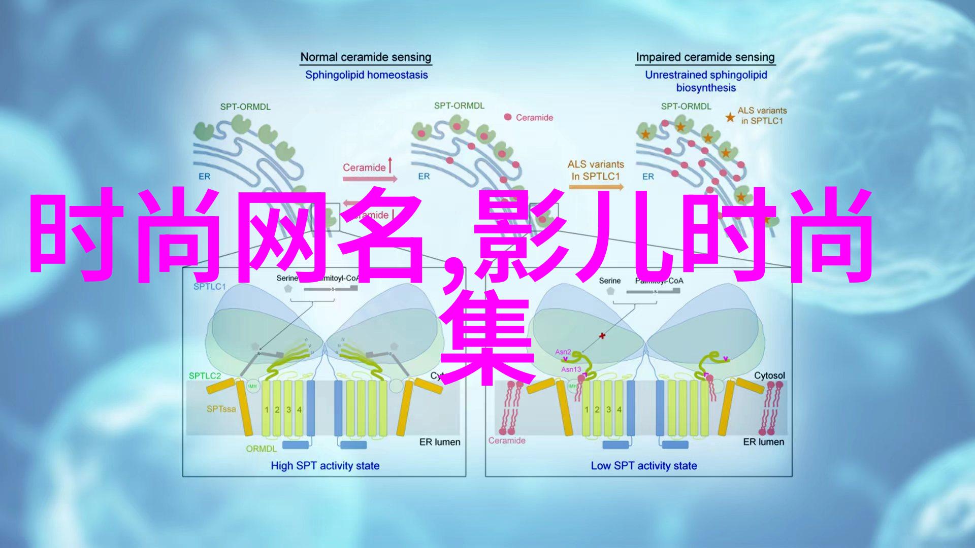 2023新款好看的图片我眼中的时尚风潮色彩斑斓设计前卫的魅力大集合