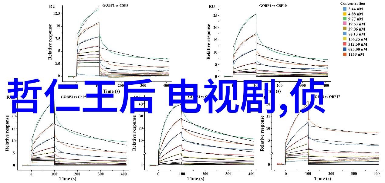 探索两岸文化差异内地与大陆的独特魅力