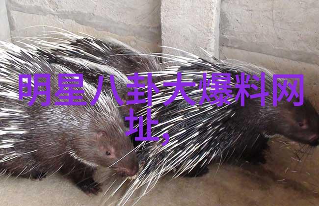 冒牌风水师的末日