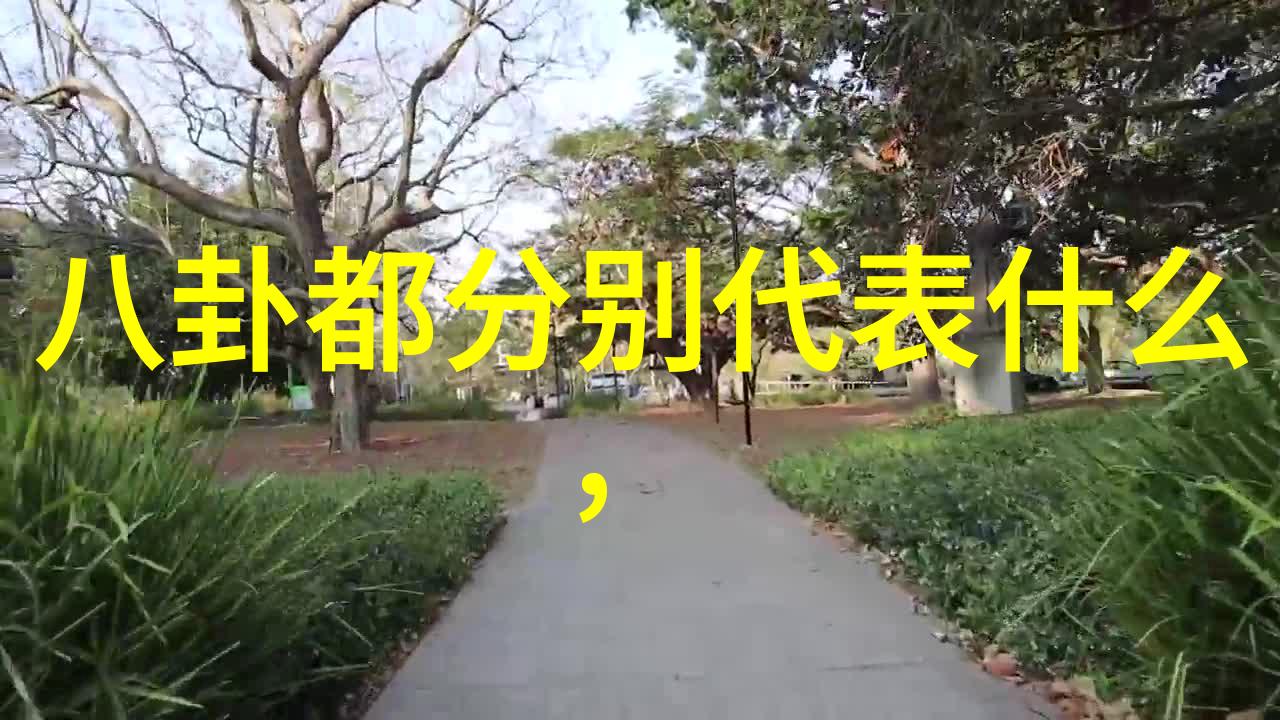 时尚界的叛逆潮流革命如何重塑社会规范