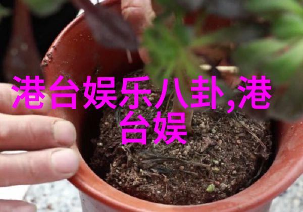 向往的生活6开播张艺兴烹饪成蘑菇屋掌勺之星晚餐喜获张哥称号