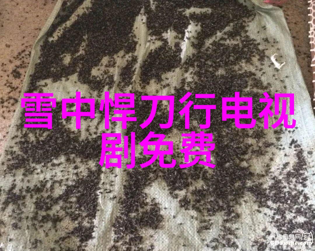 张杰Rap回归热潮赵雷成都爆红笑傲江湖综艺舞台