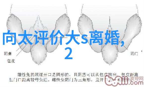 早安图片大全2023 - 启晨美景旭日东升的诗意瞬间