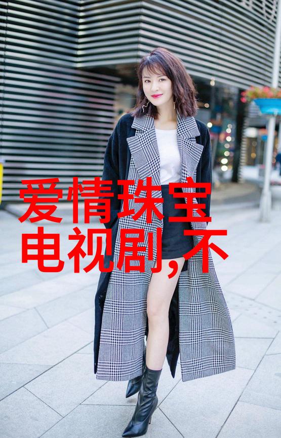 家有儿女新传编织家族情感的电视剧