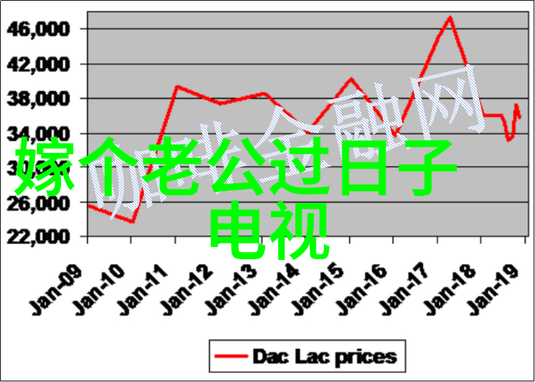 青春不败年轻馊子的逆袭之旅