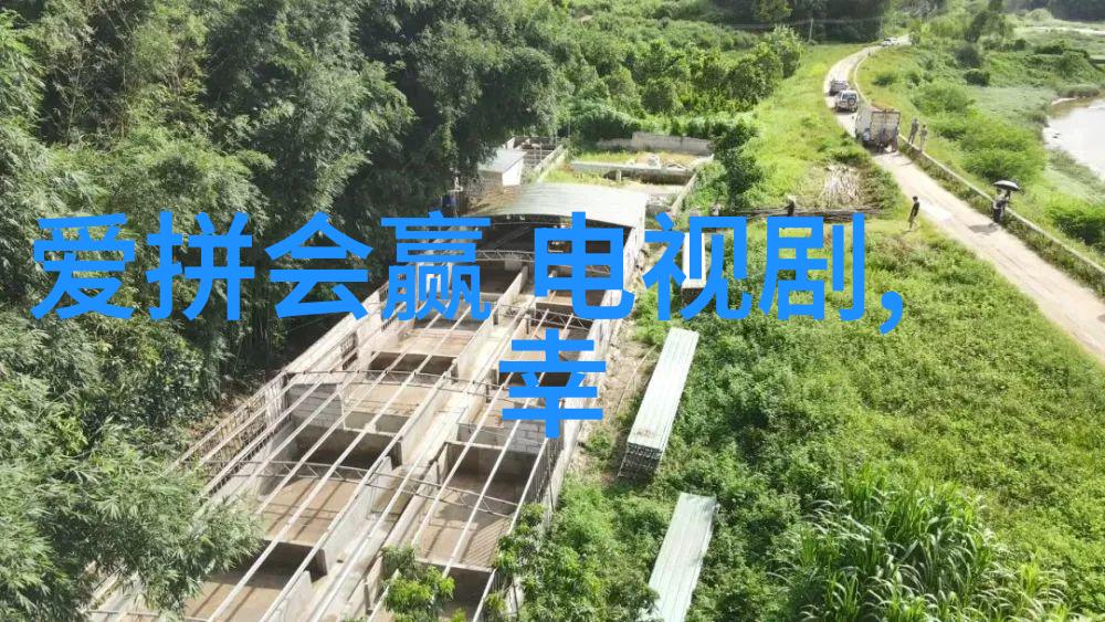 文化交流合作加强计划揭秘友好城市项目具体内容是什么