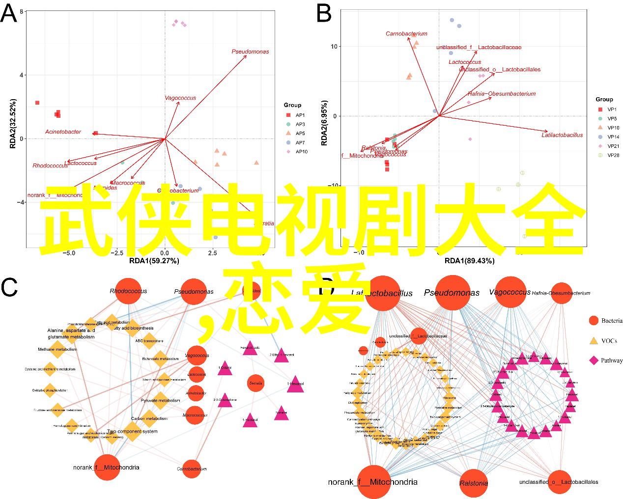 易经六十四卦解读指南古代智慧的启示