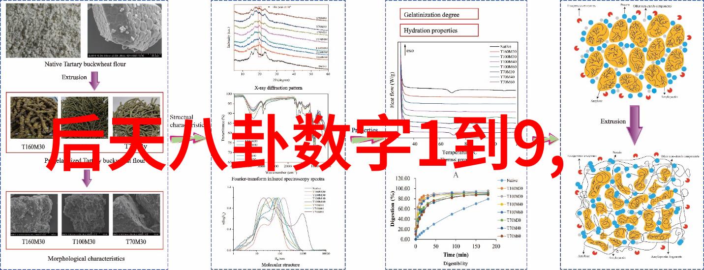 邻居寡妇4免费观看的诱惑