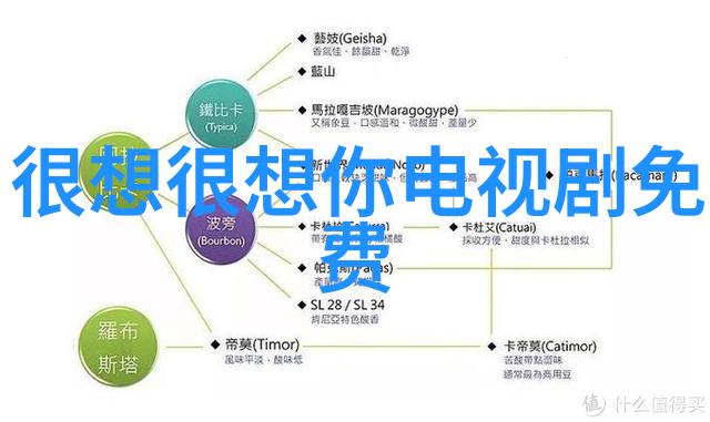 影视之乡的学府横店学院的辉煌与梦想