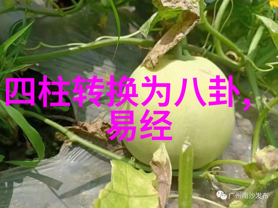 张柏芝至潮复工