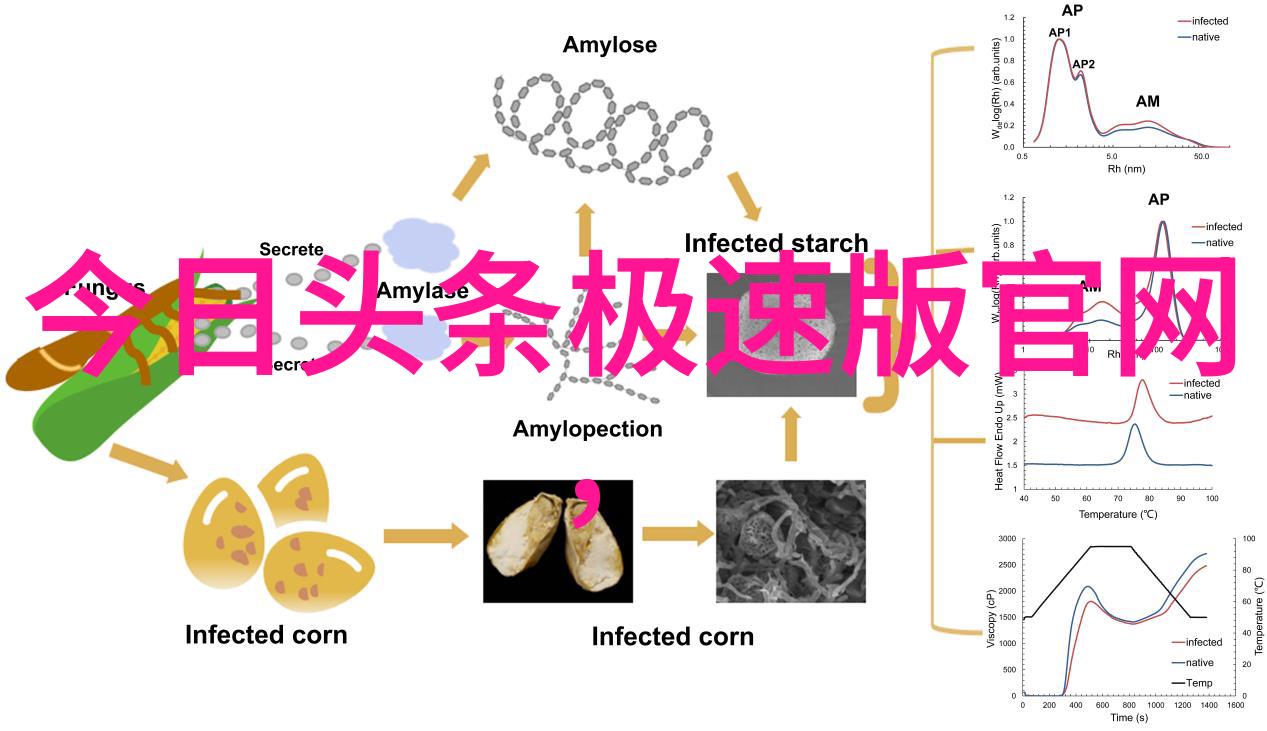 电影我为何沉迷苹果的影视盛宴