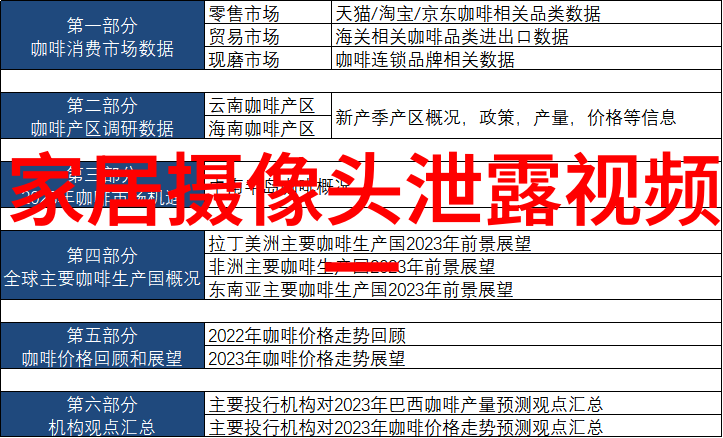 全网排名前十的主播我是如何成为那位口碑爆红的网络红人