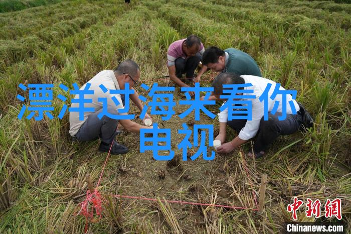 最美风景图片集锦壮丽山川宁静湖泊绚烂花海