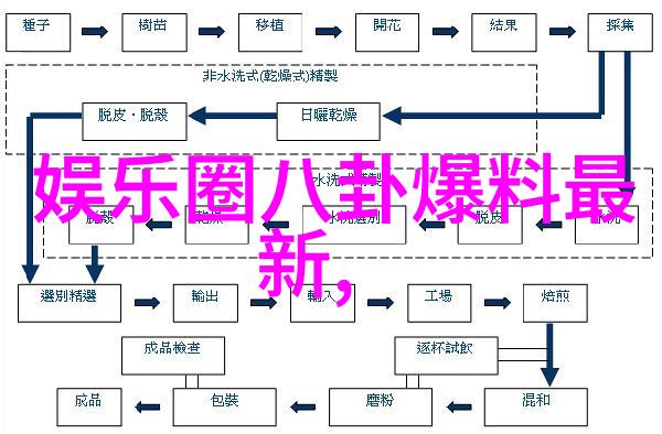 为何在社交媒体上个人成就与自力更生的证据成为热门内容