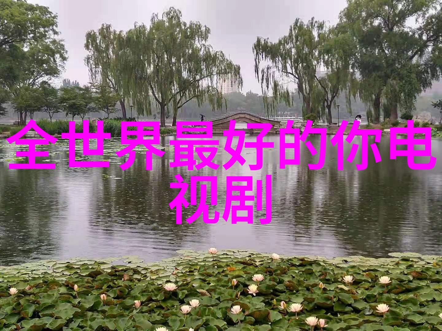 酷狗音乐与吉卜力合作带你穿梭在龙猫千与千寻的童话世界与人物共度1942年河南大饥荒的难关