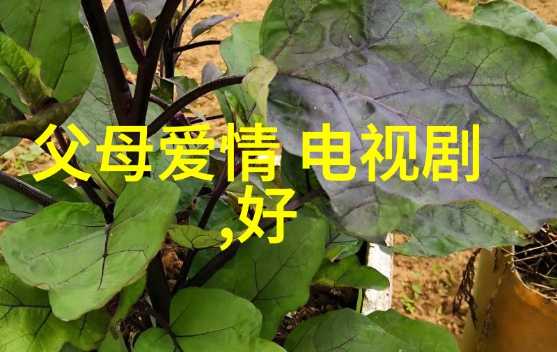 杨幂的野鸡日记从红毯到绿茵