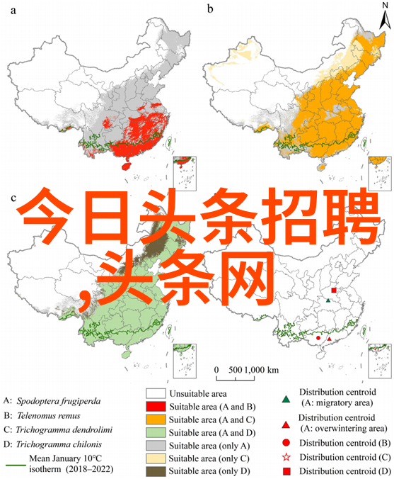 时尚界的微妙挑战时尚比基尼的诞生与演变