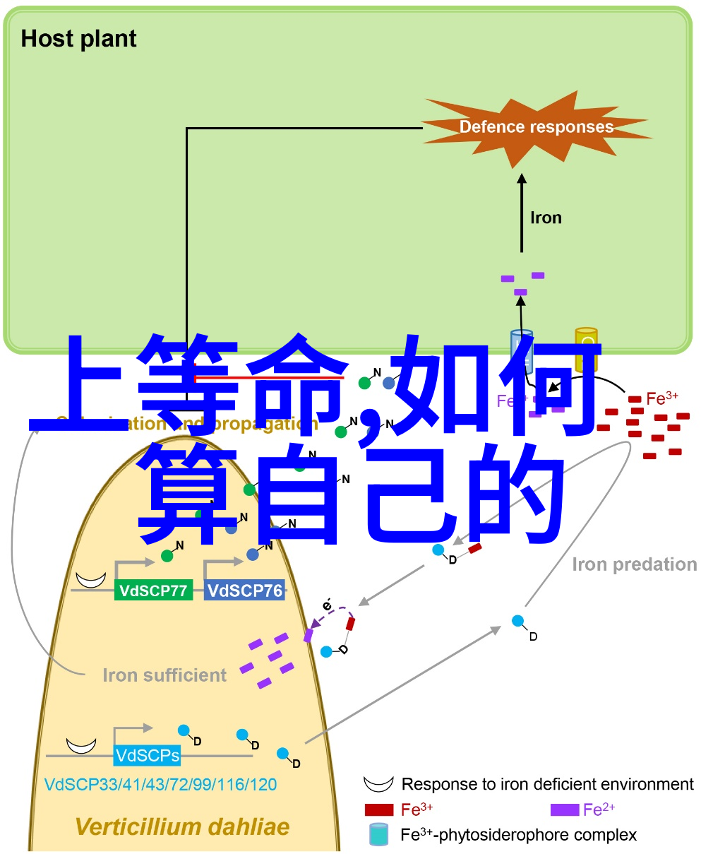 先后天八卦数字对照图我来教你这图中的每个数字都藏着啥秘密